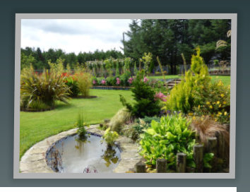 Pond and pergola in the garden at Auld Post Office B&B