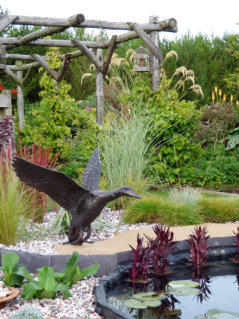 garden bird feeders at the bed and breakfast