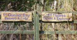 Swing in Dunnet Forest