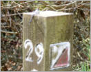 Control Post for Orienteering at Dunnet Forest