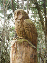Squirrel carving in Dunnet Forest