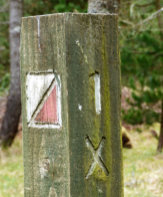 Orienteering control post at Dunnet Forest